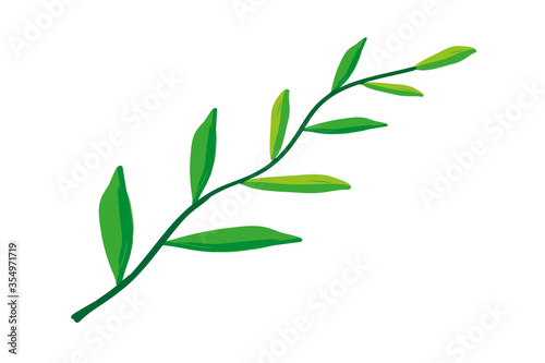 Green leaves on white background. 