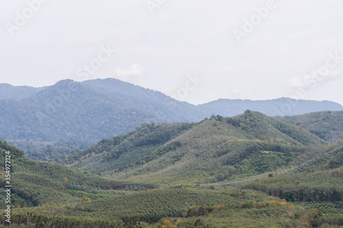 Green forest on mountain ,Thailand