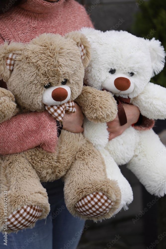 Sweet Hugs with soft toys bears Sweet Hugs with soft toys bears