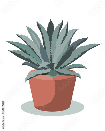 Blue Agave plant in a flower pot, vector illustration