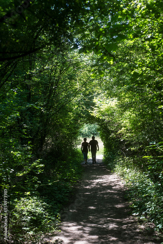 silhouettes of couple walking in the forest