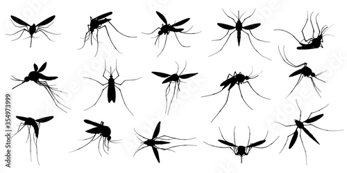 Mosquito silhouette. Flying mosquitoes, swarm insects spreading diseases, dangerous infection and viruses, malaria and dengue. Vector gnats black silhouette, mosquito insect bloodsucking illustration