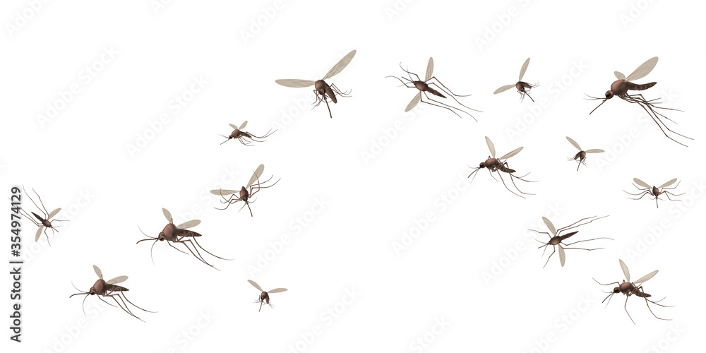 Flying mosquito insects. Gnat and pest, spreading viruses and diseases