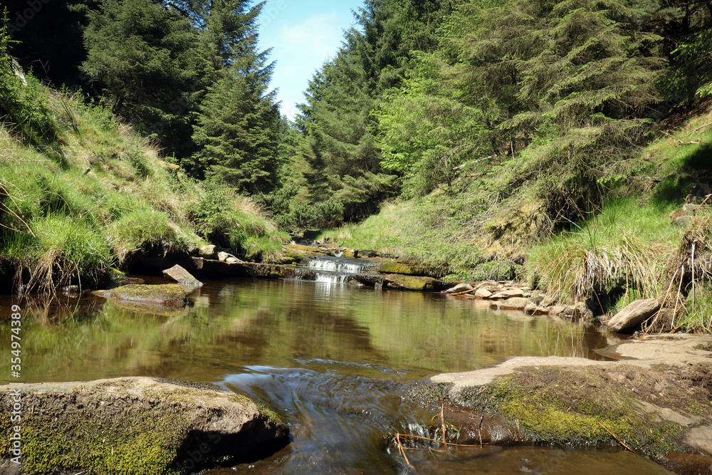 river in forest river in forest