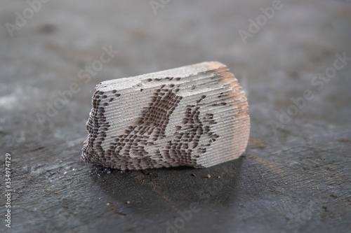 Foto Broken catalytic converter for recycling with selective focus