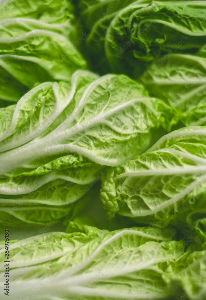 Chinese cabbage, background texture of green leaves, close up. Chinese cabbage, background texture of green leaves, close up.
