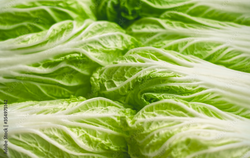 Chinese cabbage, background texture of green leaves, close up. Chinese cabbage, background texture of green leaves, close up.