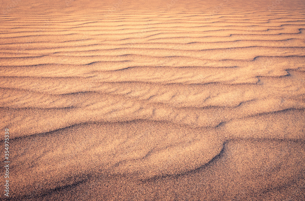 Fototapeta premium Lines in the Sand