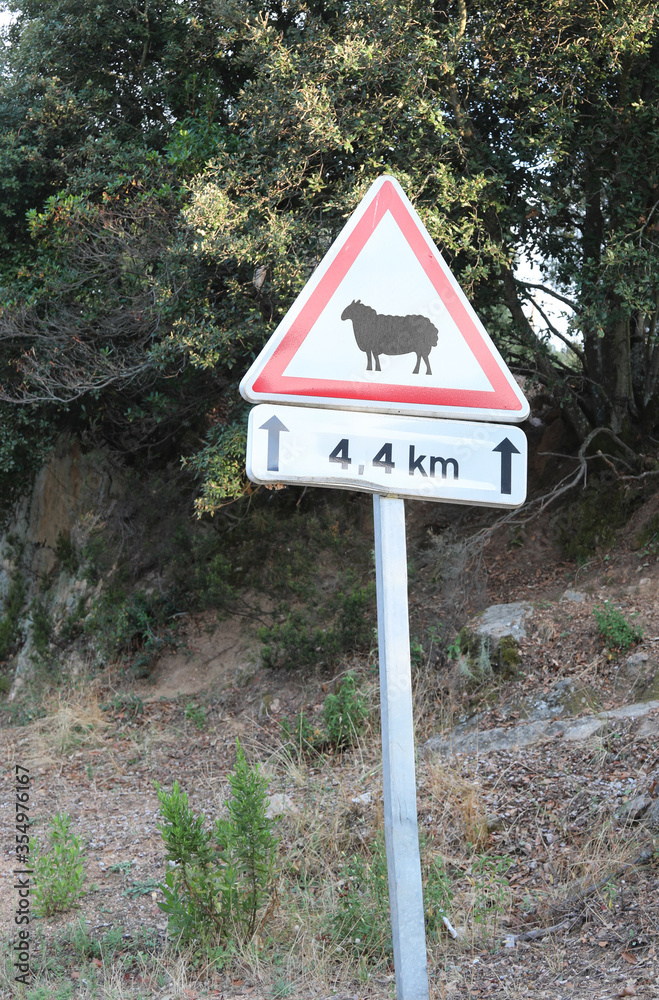 road sign with draw of a sheep
