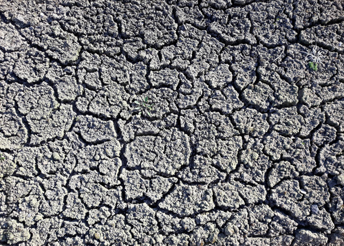 Dry cracked soil in the spring. Texture under the bright sun. Gray earth