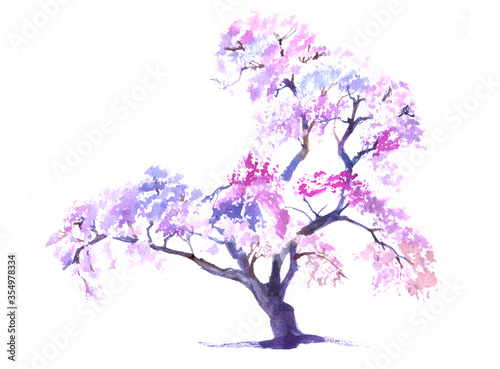 Watercolour sakura blossom pink tree isolated on white © 1purple