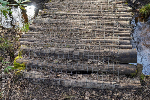 Path way made of logs in woodland photo