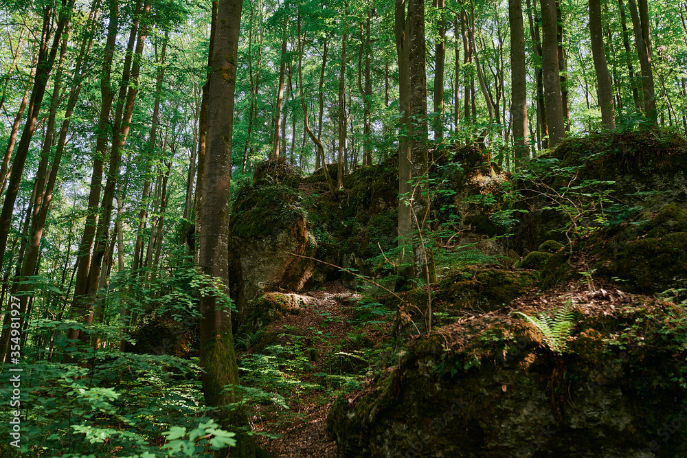 Wandern in der Fränkischen Schweiz. Wandern in der Fränkischen Schweiz.