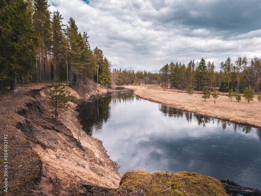 Pine forest on the river bank. Beginning of spring in the middle belt of Russia. Cloudy weather
