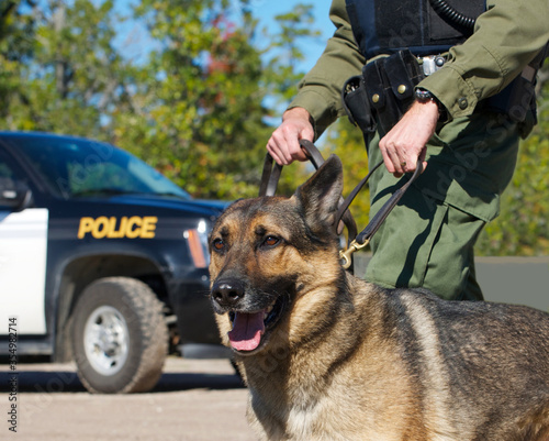 Drug sniffing dog portrait with handler.