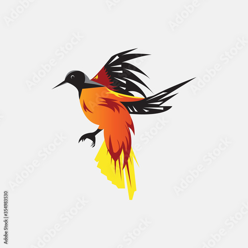 colibri bird colorful illustration vector design