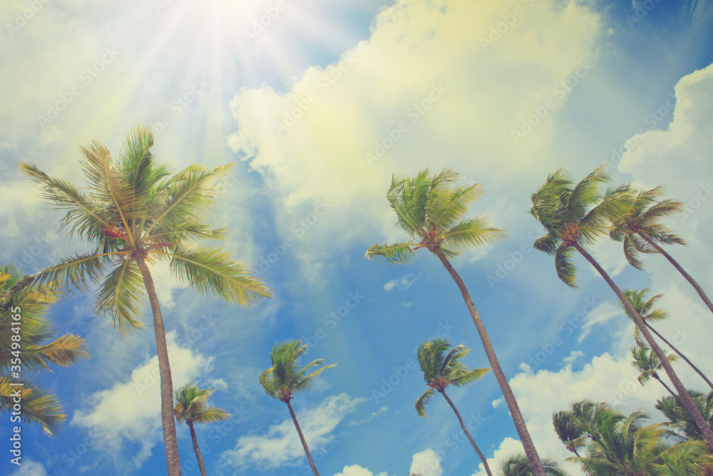 Coconut palm trees on blue sky with white clouds and sunlight. Coconut palm trees on blue sky with white clouds and sunlight.