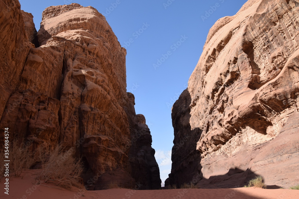 Huge canyon with vegetation on sandy soil in the Wadi Rum Desert, Wadi Rum Desert, Jordan