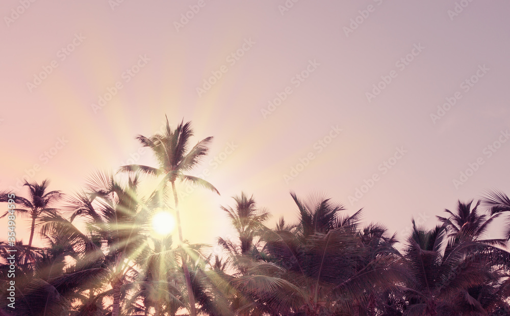 Coconut palm trees on pink sky and sunlight.