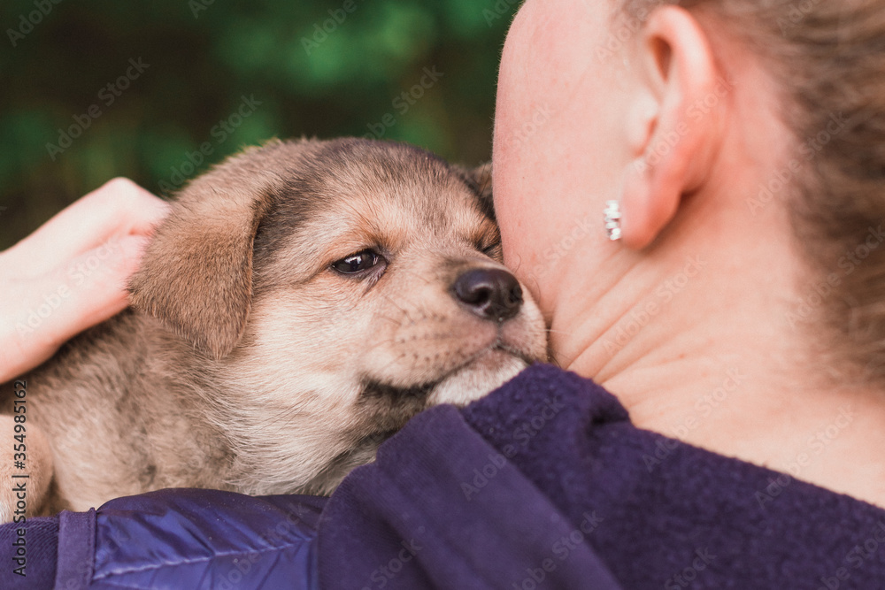 Obraz premium Homeless puppy on a woman’s arm. Volunteer Search for Puppies at Home
