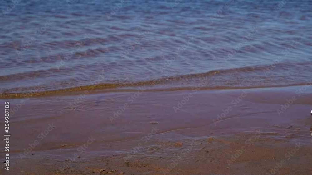 Cleaning the sea coast from plastic. Close-up of a man collecting plastic garbage on a sandy beach in summer. Concept of environmental pollution. Human garbage. Cleaning the sea coast from plastic. Close-up of a man collecting plastic garbage on a sandy beach in summer. Concept of environmental pollution. Human garbage.