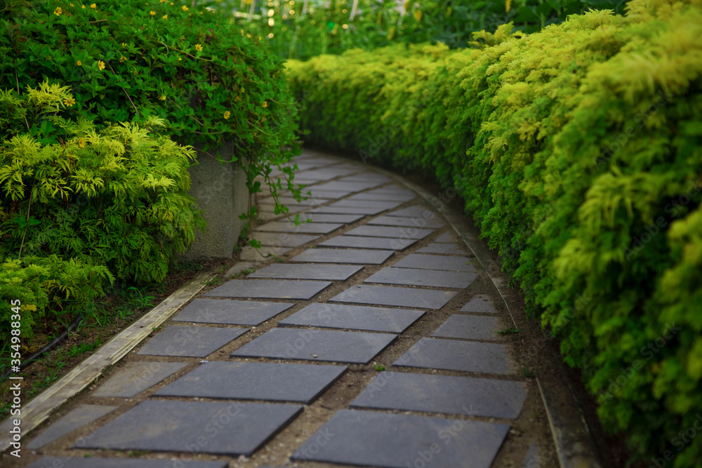 paved walkway path goes into the park among green bushes