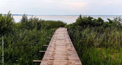 Boardwalk on a lake in Estonia  pier in the forest.