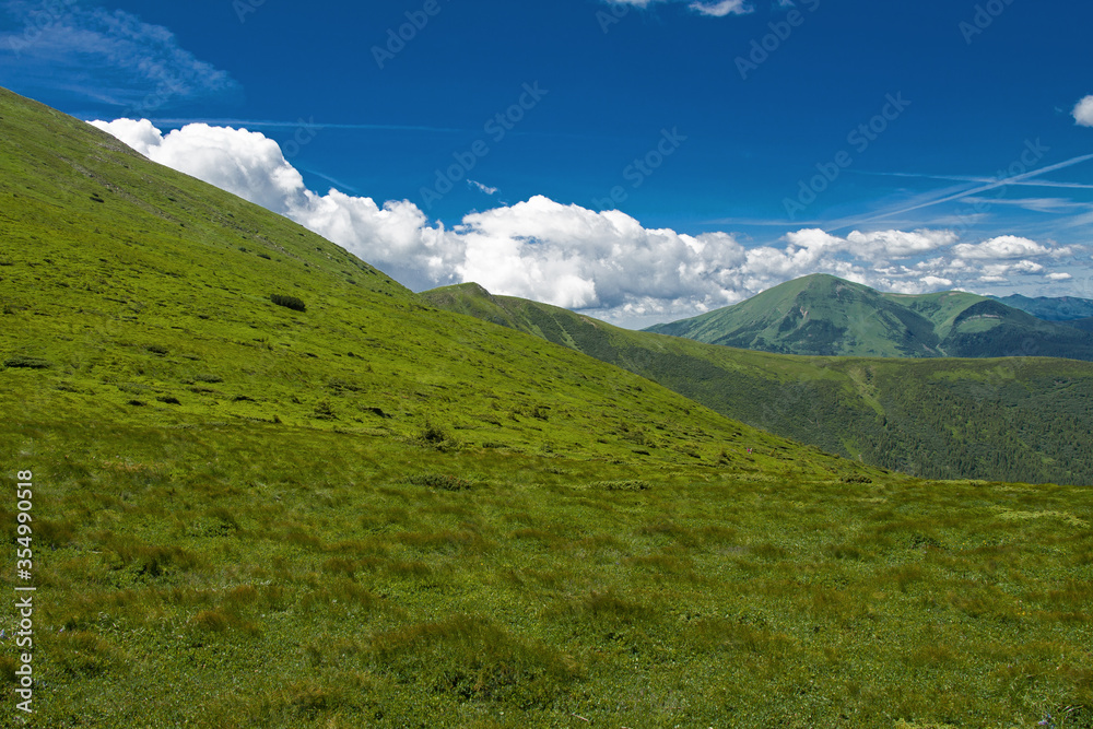 Fototapeta premium Goverla summer view, Carpathian mountains climbing, Ukraine