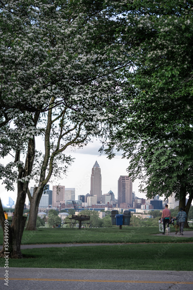 Obraz premium Cleveland Skyline in the summer time