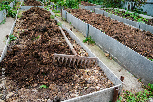 Photos The vegetable bed is fertilized with manure in the autumn garden