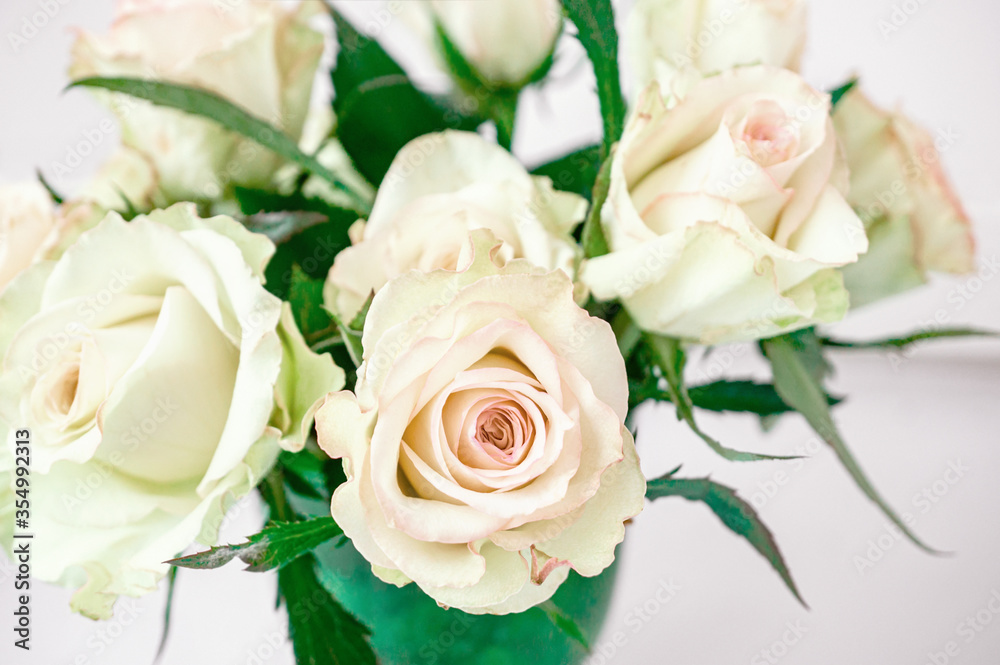 Romantic bouquet of delicate greenish roses on a light background. Background of cream and pink roses. Close-up, selective focus Romantic bouquet of delicate greenish roses on a light background. Background of cream and pink roses. Close-up, selective focus