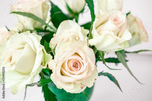 Romantic bouquet of delicate greenish roses on a light background. Background of cream and pink roses. Close-up  selective focus
