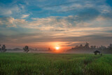 Morning sunshine in the rainy season The Fields of Thailand