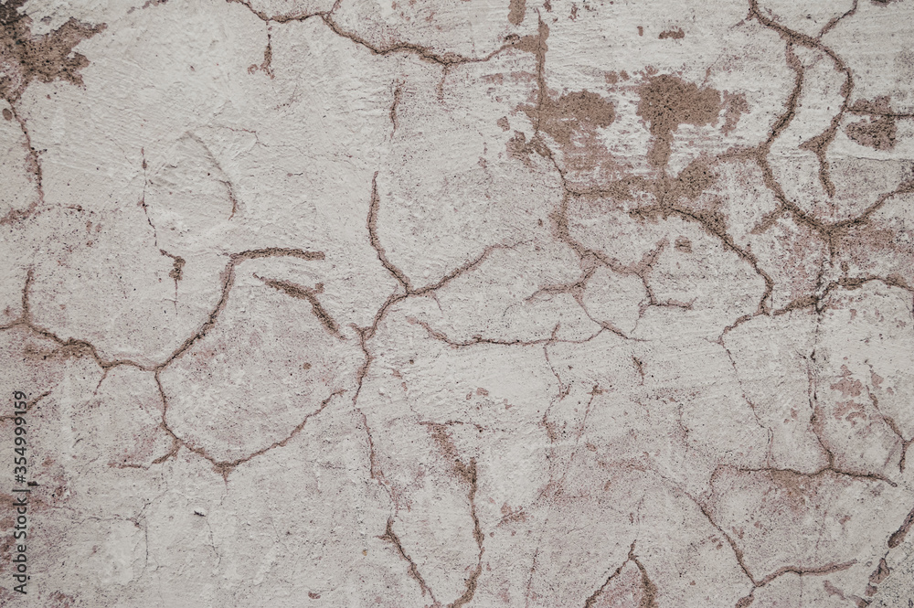 Fototapeta premium texture of the old wall