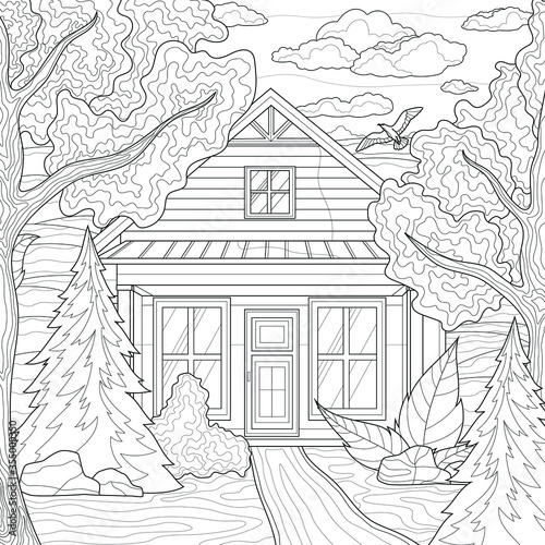 House among the trees. Nature.Coloring book antistress for children and adults. Illustration isolated on white background.Zen-tangle style.Black and white drawing.