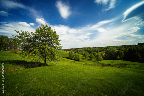 Wonderful calm spring landscape. Green valley with a standing tree and blue sky © Vadym Tarasov