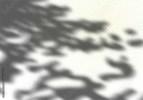 Abstract Summer Sunlights Background. Vector Gray Foliage Shadow Overlay with Light Bokeh. Natural Leaves Tree Branch
