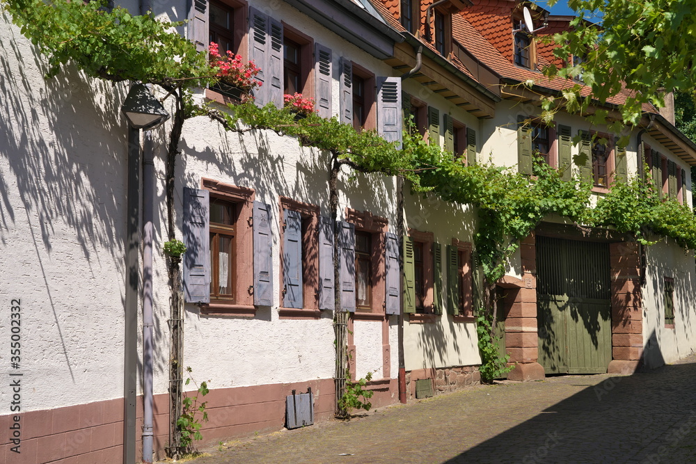 Fototapeta premium Schriesheim