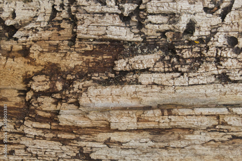 Empty natural brown wooden background. Empty natural brown wooden background.