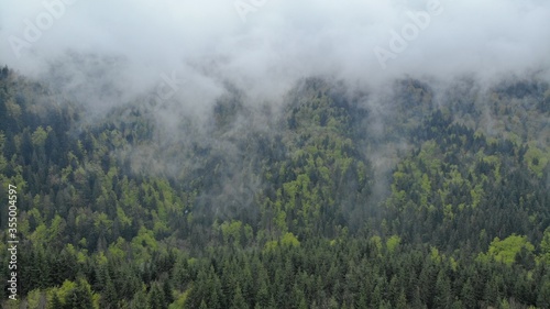 Carpathian mountains in the fog. Mountain peaks among beautiful clouds at summer. Carpathian mountains. Ukraine. pine trees in the Carpathians.                              .               .             .