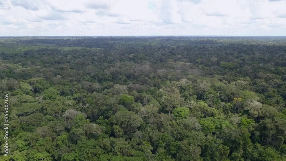 Beautiful drone aerial view of jungle tree tops Amazon primary rainforest on summer sunny day. Concept of conservation, ecology, biodiversity, global warming, co2, environment and climate change. Beautiful drone aerial view of jungle tree tops Amazon primary rainforest on summer sunny day. Concept of conservation, ecology, biodiversity, global warming, co2, environment and climate change.