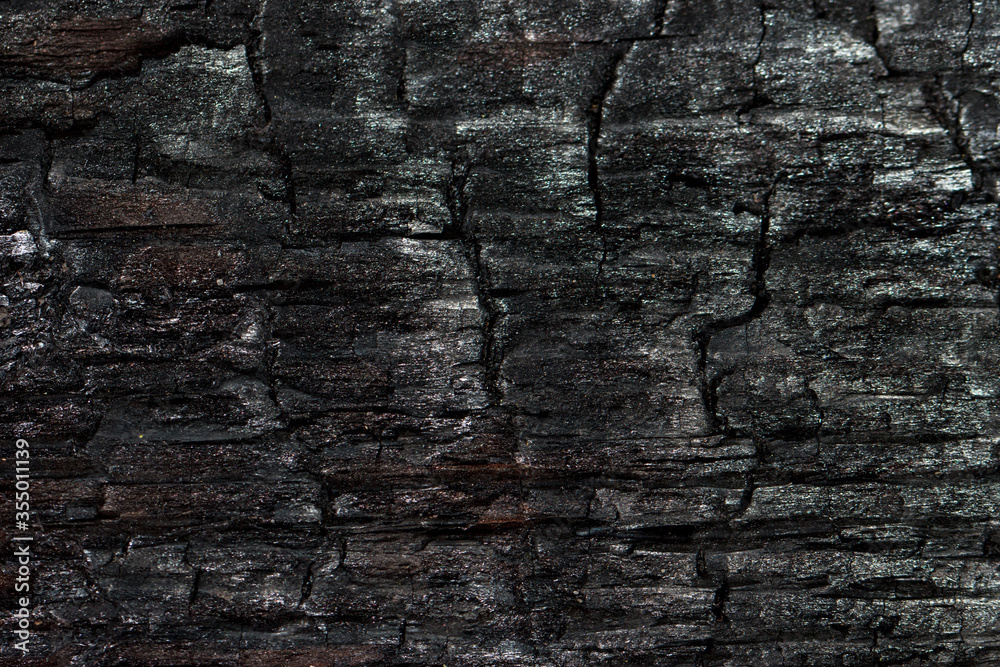 Burnt wood texture Burnt wood texture