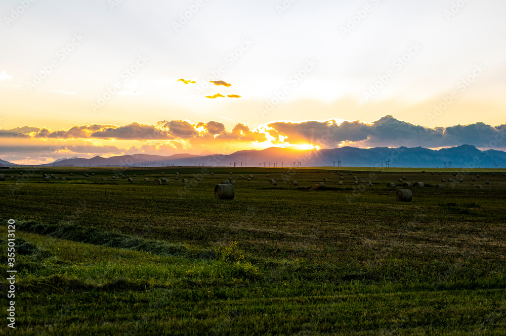 Obraz premium Field Foothills