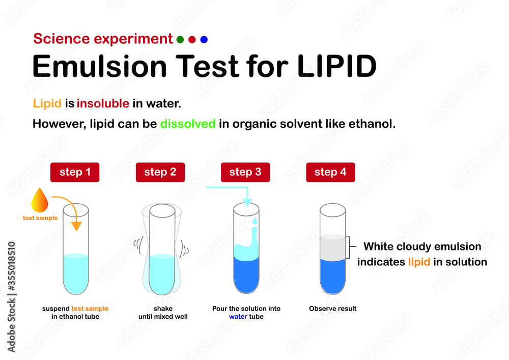 Biology chemistry experiment show emulsion test for lipid in sample