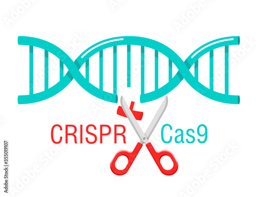 CRISPR Cas9 - gene editing system - DNA spiral cutting by scissors - vector isolated cartoon concept 
