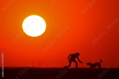 Woman playing with a dog at sunset. The shape of their silhouette is visible. wallpaper