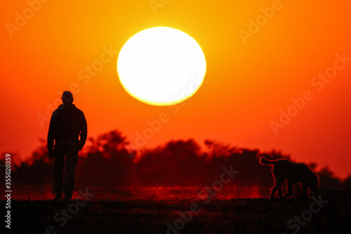 Walking in the meadow on beautiful sunny day. Man and dog silhouette