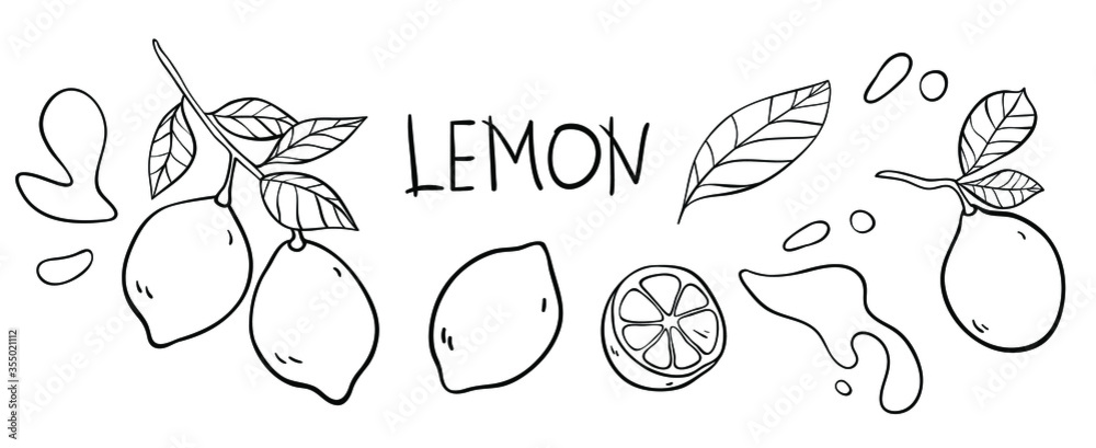 Lemon vector doodle elements and lettering set. The inscription 