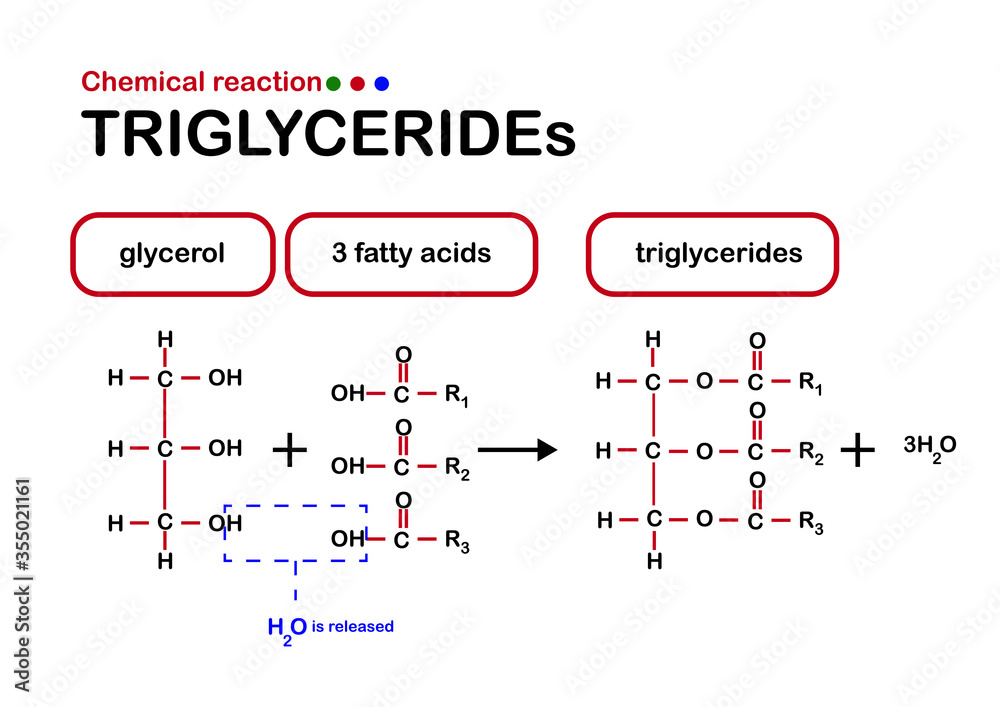 Chemical Reaction Show Triglyceride Formation Stock Vector Adobe Stock chemical-reaction-show-triglyceride-formation-stock-vector-adobe-stock