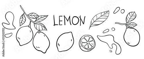 Lemon vector doodle elements and lettering set. The inscription "lemon", the hand drawn outline of whole fruit, lemons on a branch, cut lemon, lemon leaves, splashes of juice. Black line art on white.